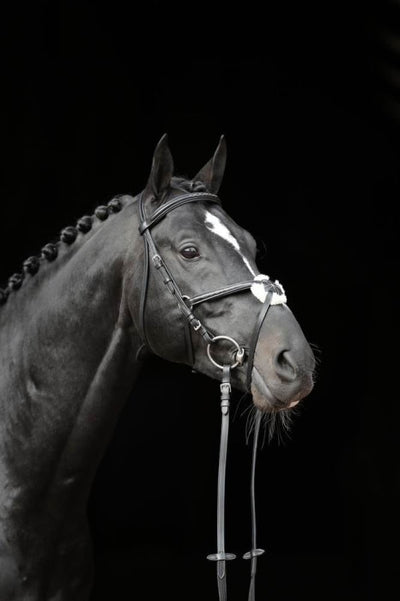 Bridle Cancun black, FULL