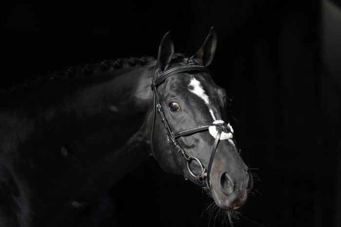 Bridle Cancun black, FULL