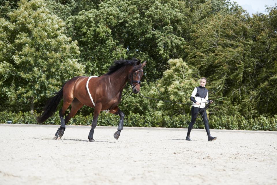 HG Soft Lunging Aid