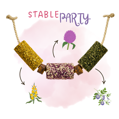 Wooden toy - "Stable party"