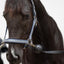 Horse Guard Wall strap with protecting rubber ball