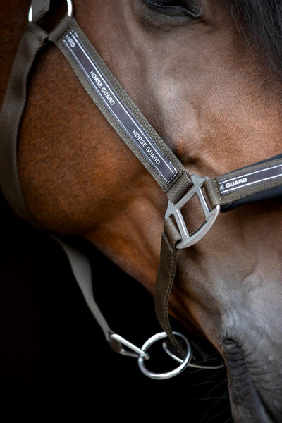 HorseGuard Maison halter, XFULL