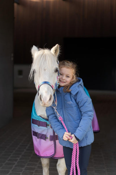 HorseGuard Gradient halter