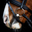 Happy Mouth Bit Single Jointed, loose rings, 13,5 cm