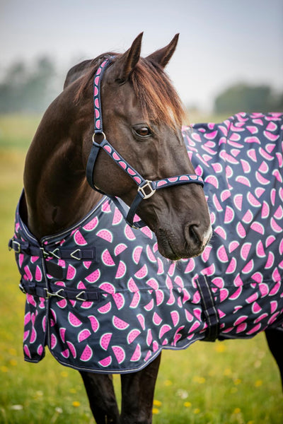Horse Guard Melon turnout rug, standard neck, 0g, Navy, 155