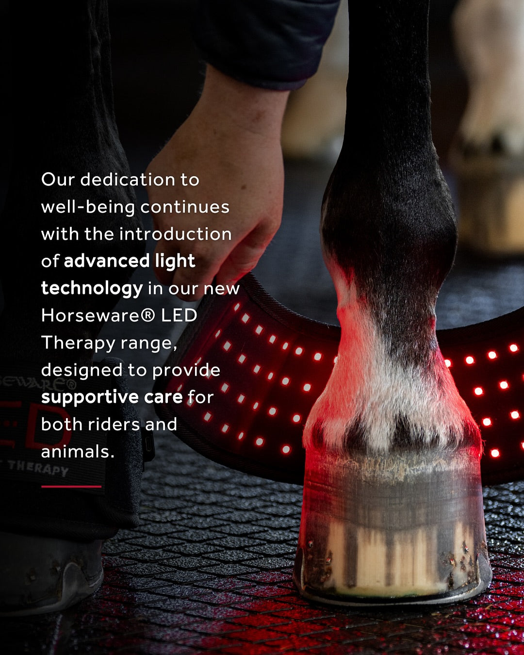 Horseware® LED Red Light Therapy Mini Wrap, one piece