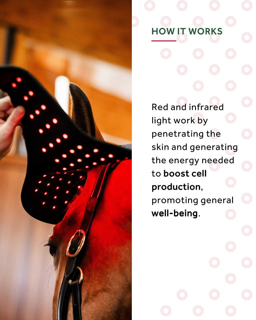 Horseware® LED Red Light Therapy Poll Cap