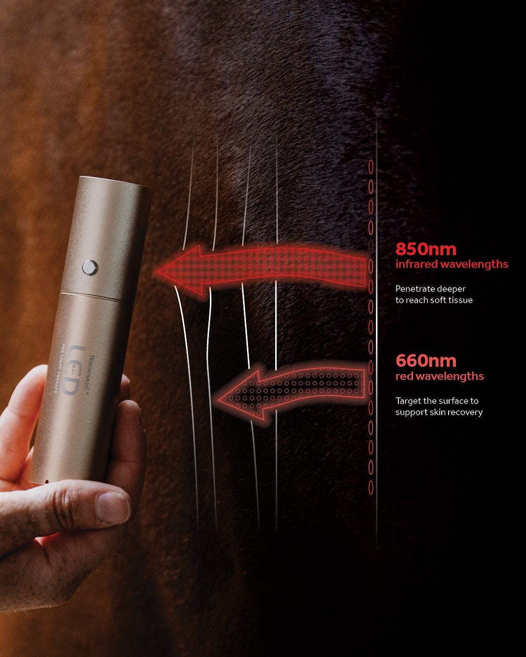 Horseware® LED Red Light Therapy Wand