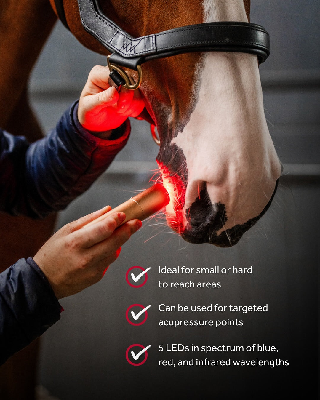 Horseware® LED Red Light Therapy Wand