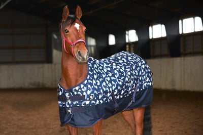 HG Josh pony turnout rug 600D 100g, Navy, 95 cm