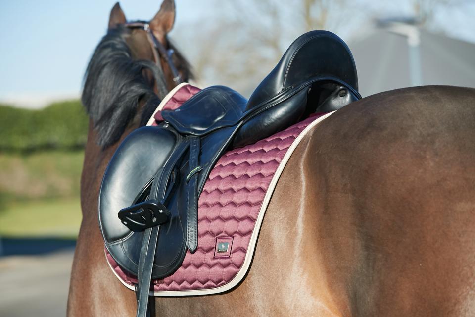 HG Kora saddle pad, dressage