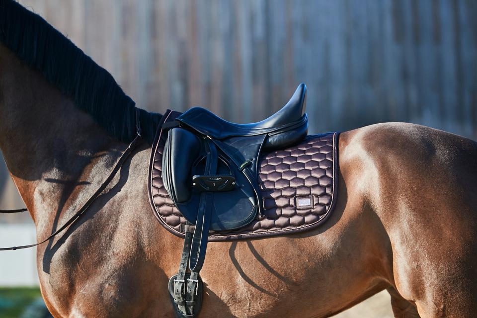 HG Kora saddle pad, dressage