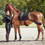 CATAGO FIR-Tech training saddle pad with elastic