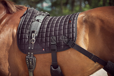 CATAGO FIR-Tech training saddle pad with elastic