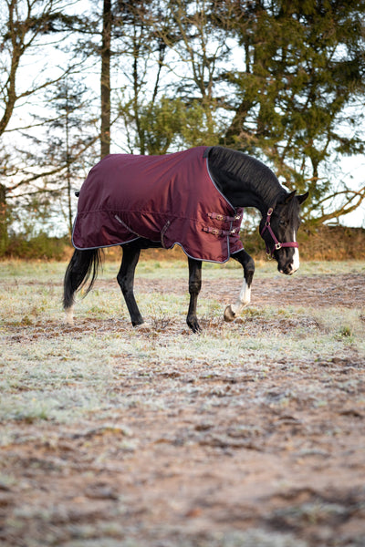 HG Landon 1200D Turnout rug, standard neck, 200g, 155