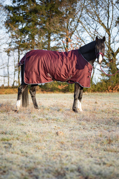 HG Landon 1200D Turnout rug, standard neck, 200g, 155