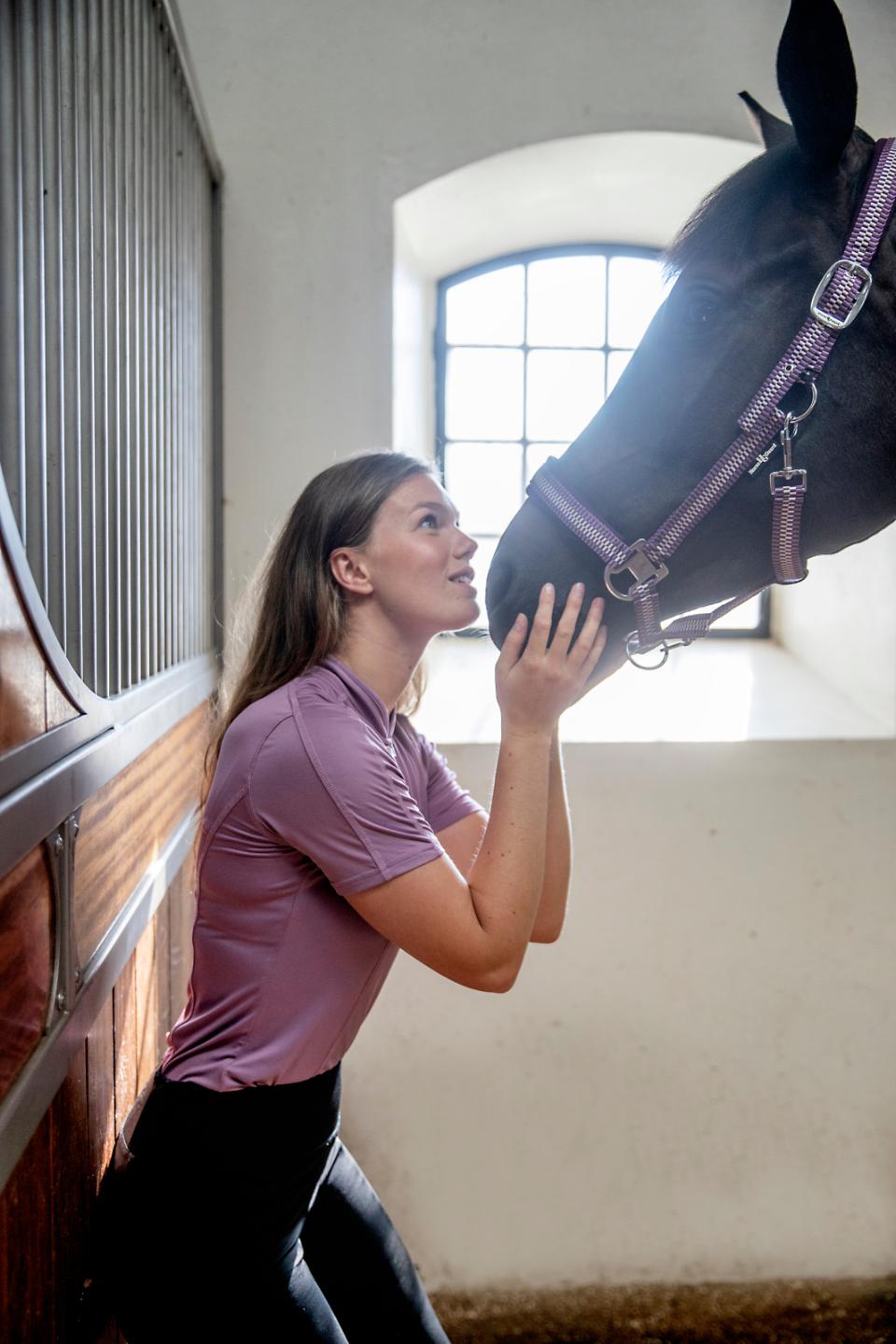 HorseGuard Cole halter, Italian Plum