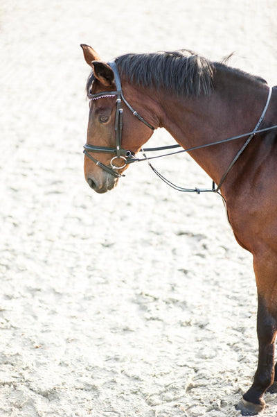 HorseGuard Martingale, black, Pony