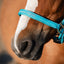 Horse Guard Malva halter "My Best Friend", Pony