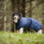 CATAGO Fir-Tech Trainer Dog rug