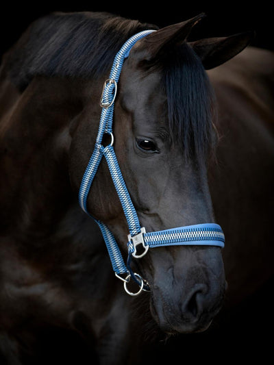 HorseGuard Cole halter, NAVY, PONY