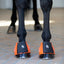 HorseGuard Tamsin bell boots