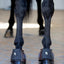 HorseGuard Tamsin bell boots