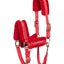 HorseGuard Jingle halter