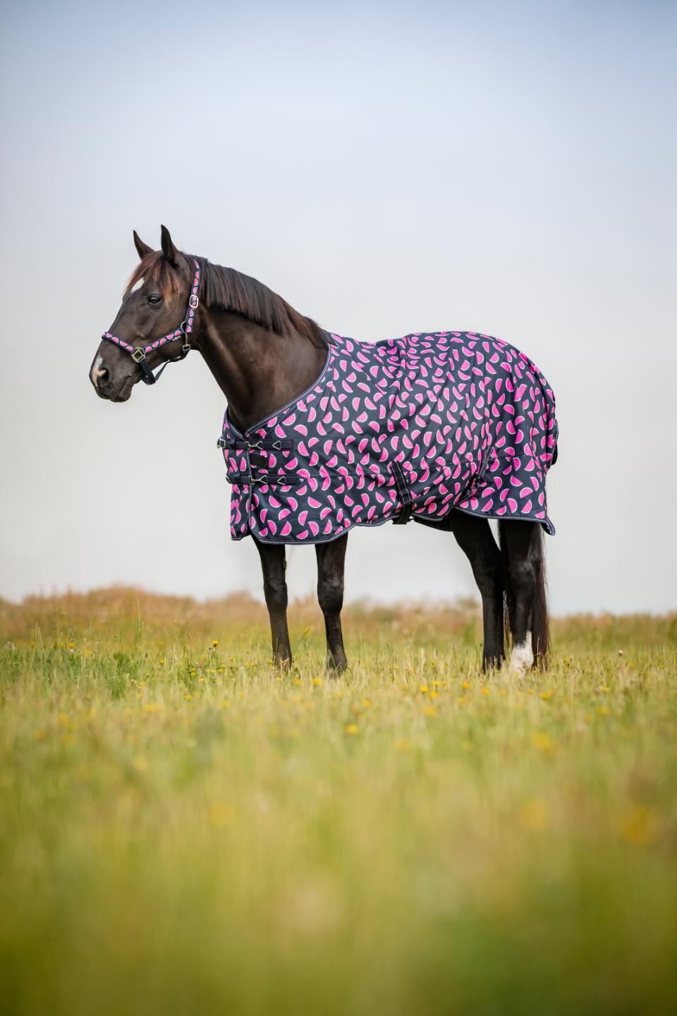 Horse Guard Melon turnout rug, standard neck, 0g, Navy, 155