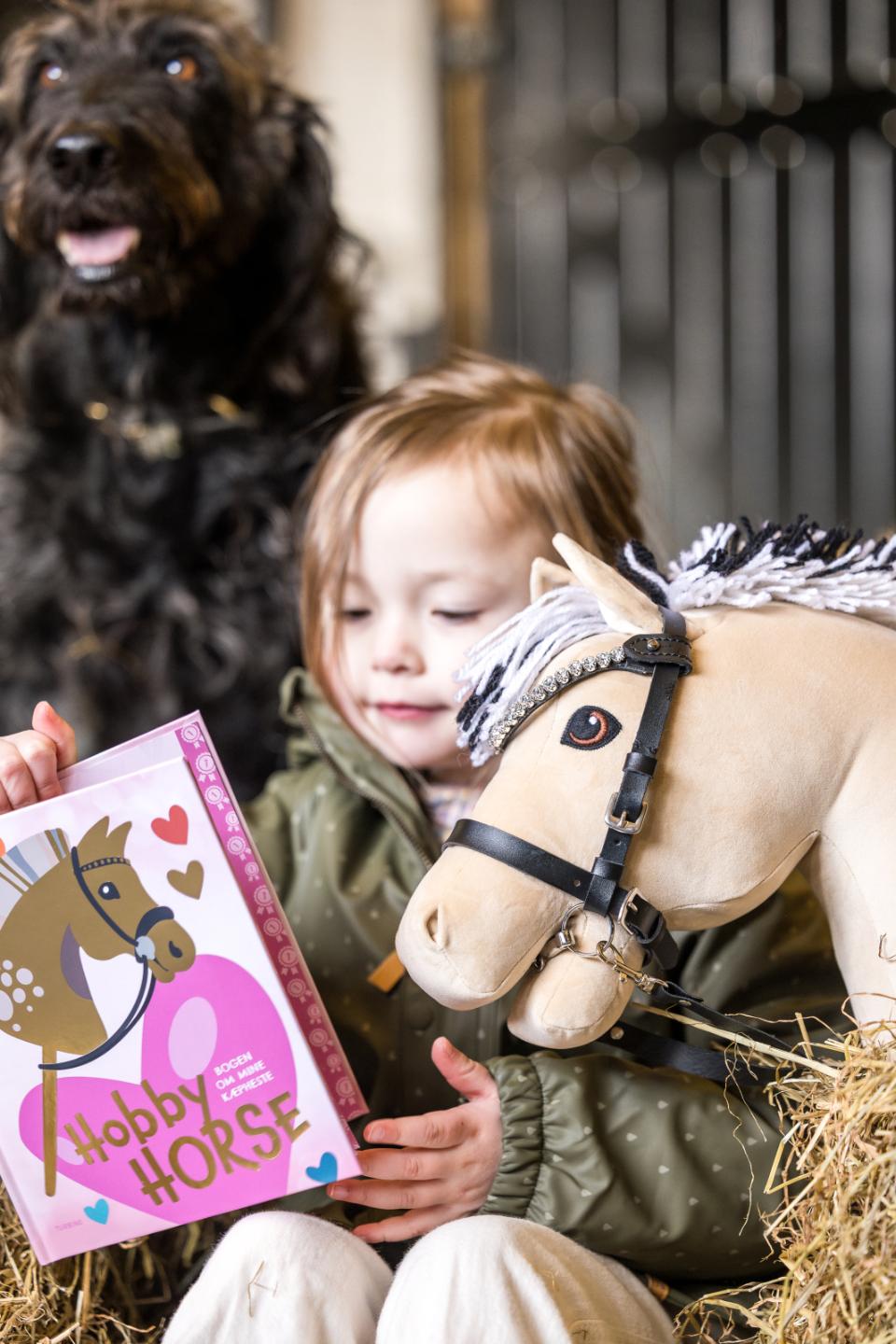 My Hobby Horse – The Book About My Hobby Horses, English Text
