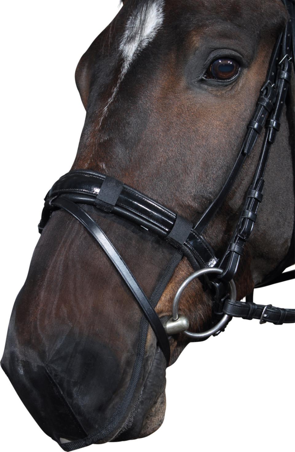 HorseGuard Muzzle protector, FULL