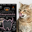 QCHEFS Cat Treat with Activated Charcoal Dental Charcoal 70 g
