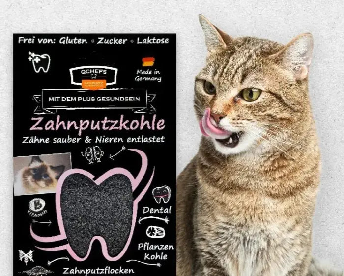 QCHEFS Cat Treat with Activated Charcoal Dental Charcoal 70 g