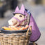 My Hobby Horse Rug & Ear Bonnet, pink glitter