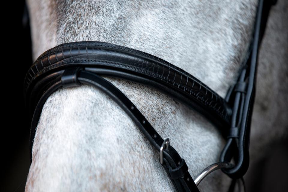 HorseGuard Emi 24.2 bridle with combined noseband, XFULL