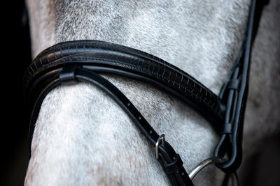 HorseGuard Emi 24.2 bridle with combined noseband, XFULL