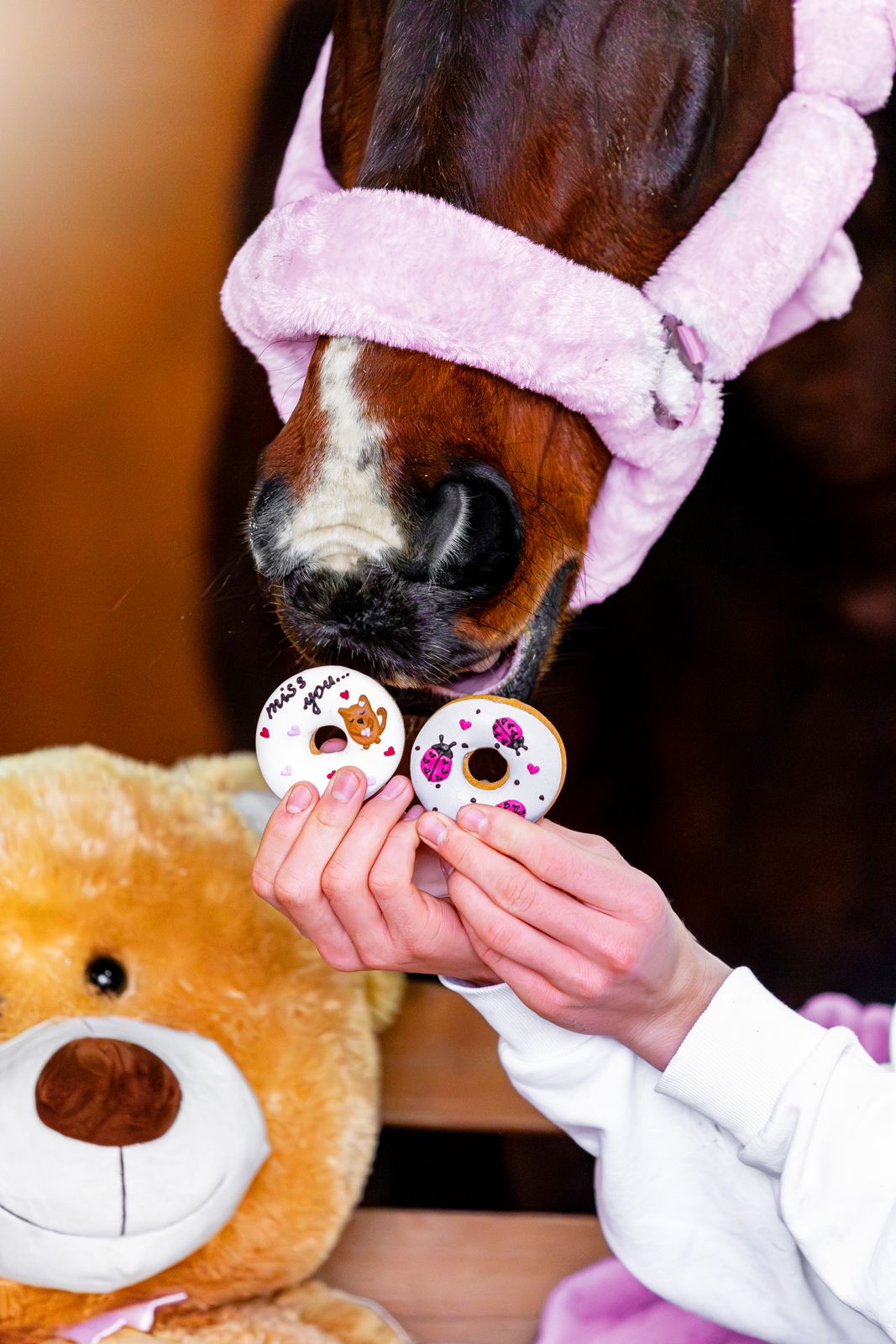 CANDY HORSE DONUTS WITH ICING, THE VALENTINE'S DAY COLLECTION