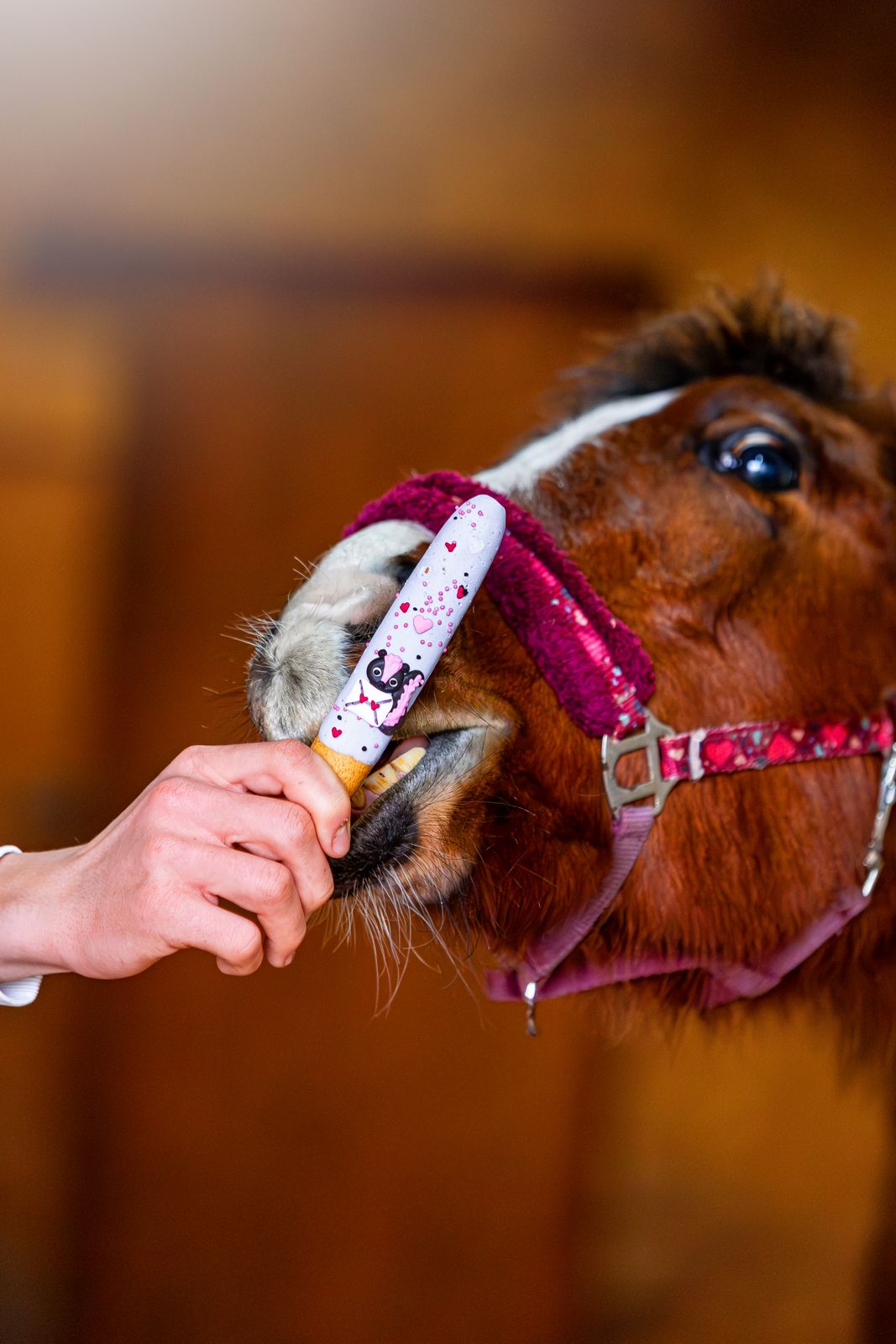 CANDY HORSE STICKS WITH ICING, THE VALENTINE'S DAY COLLECTION