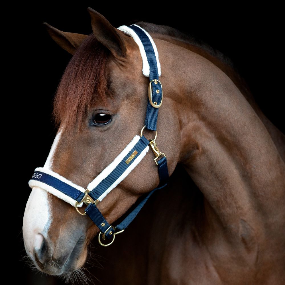 CATAGO Bea halter Navy X-FULL