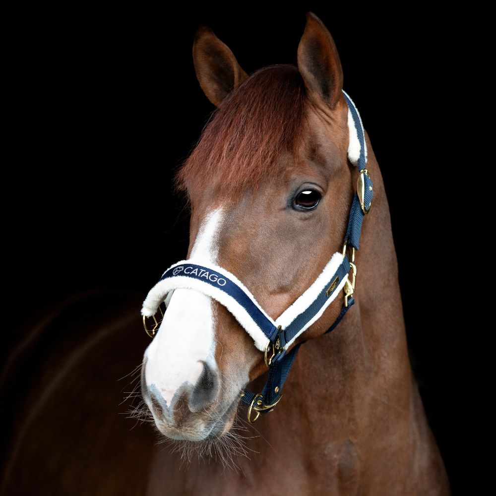 CATAGO Bea halter Navy X-FULL