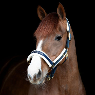 CATAGO Bea halter Navy X-FULL