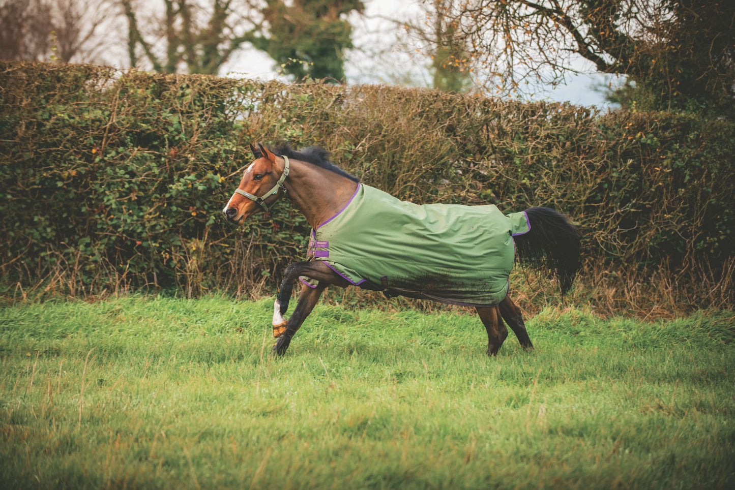 Amigo Hero Ripstop 50g Fleece Lining, 145cm (6'6"), 155cm (6'9"), Bramble/ Winterberry