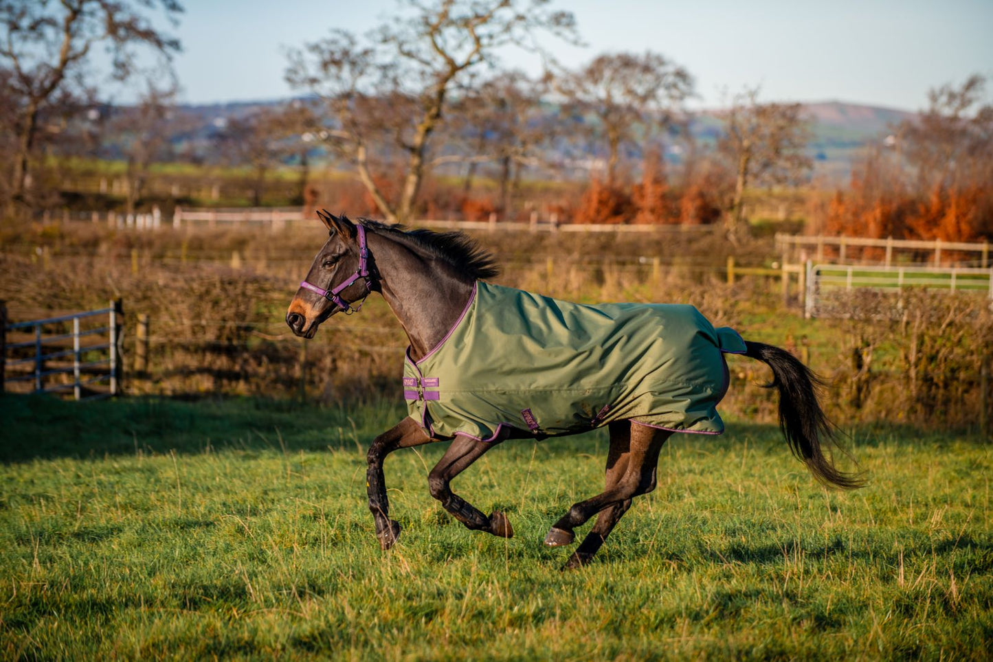 Amigo Hero Ripstop 50g Fleece Lining, 145cm (6'6"), 155cm (6'9"), Bramble/ Winterberry