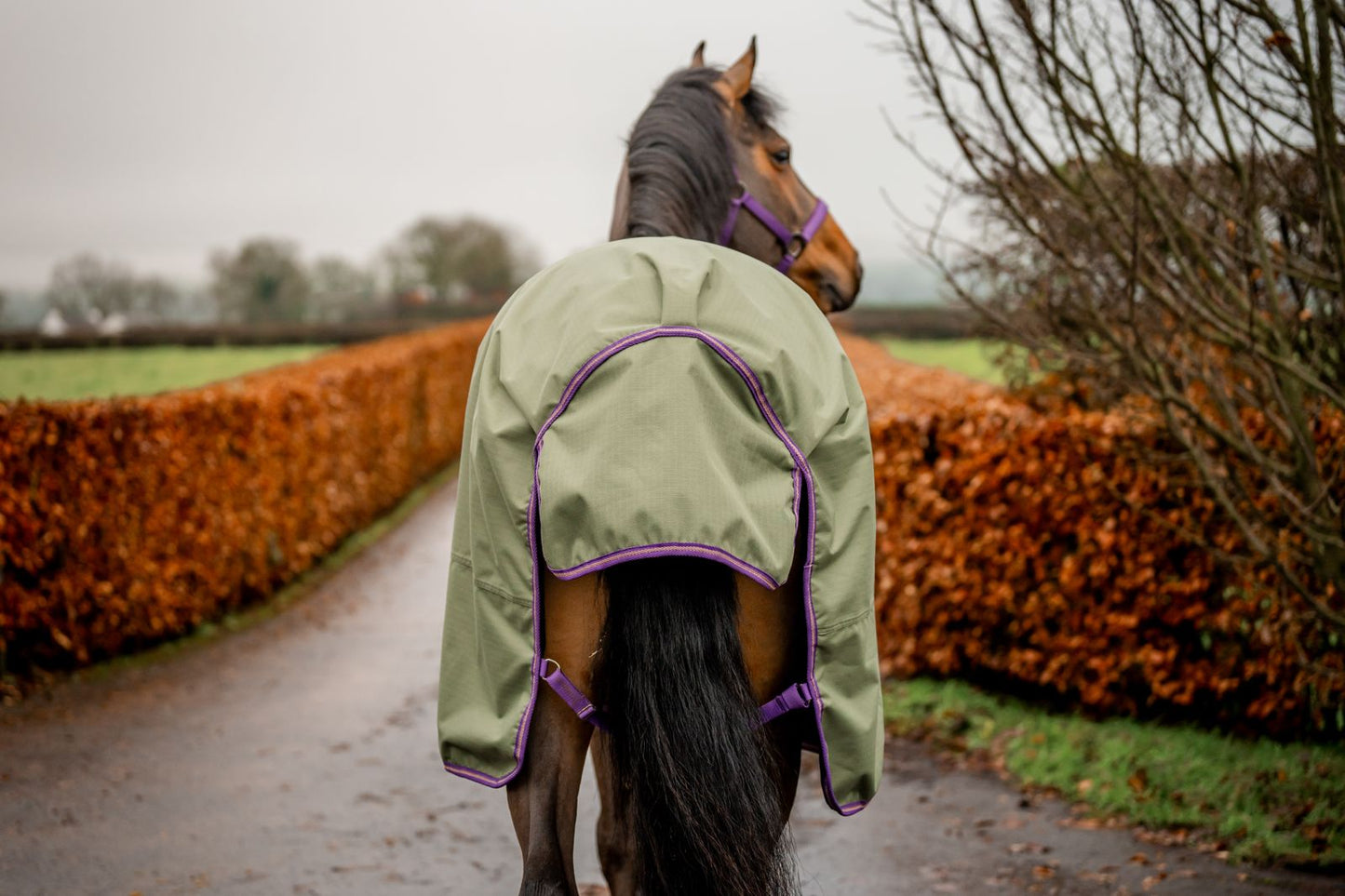 Amigo Hero Ripstop 50g Fleece Lining, 145cm (6'6"), 155cm (6'9"), Bramble/ Winterberry