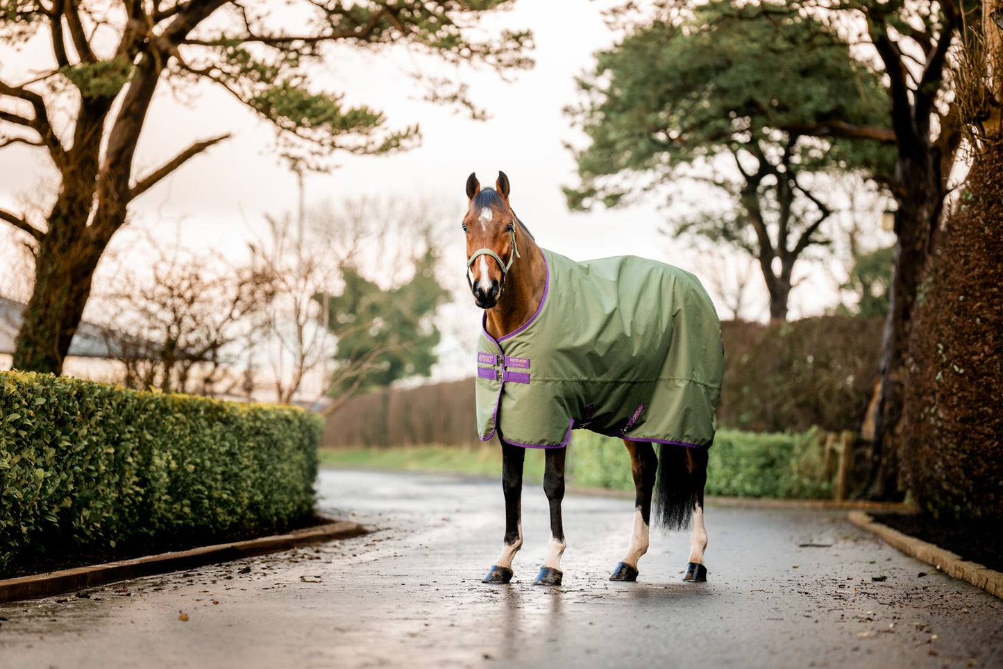 Amigo Hero Ripstop 50g Fleece Lining, 145cm (6'6"), 155cm (6'9"), Bramble/ Winterberry