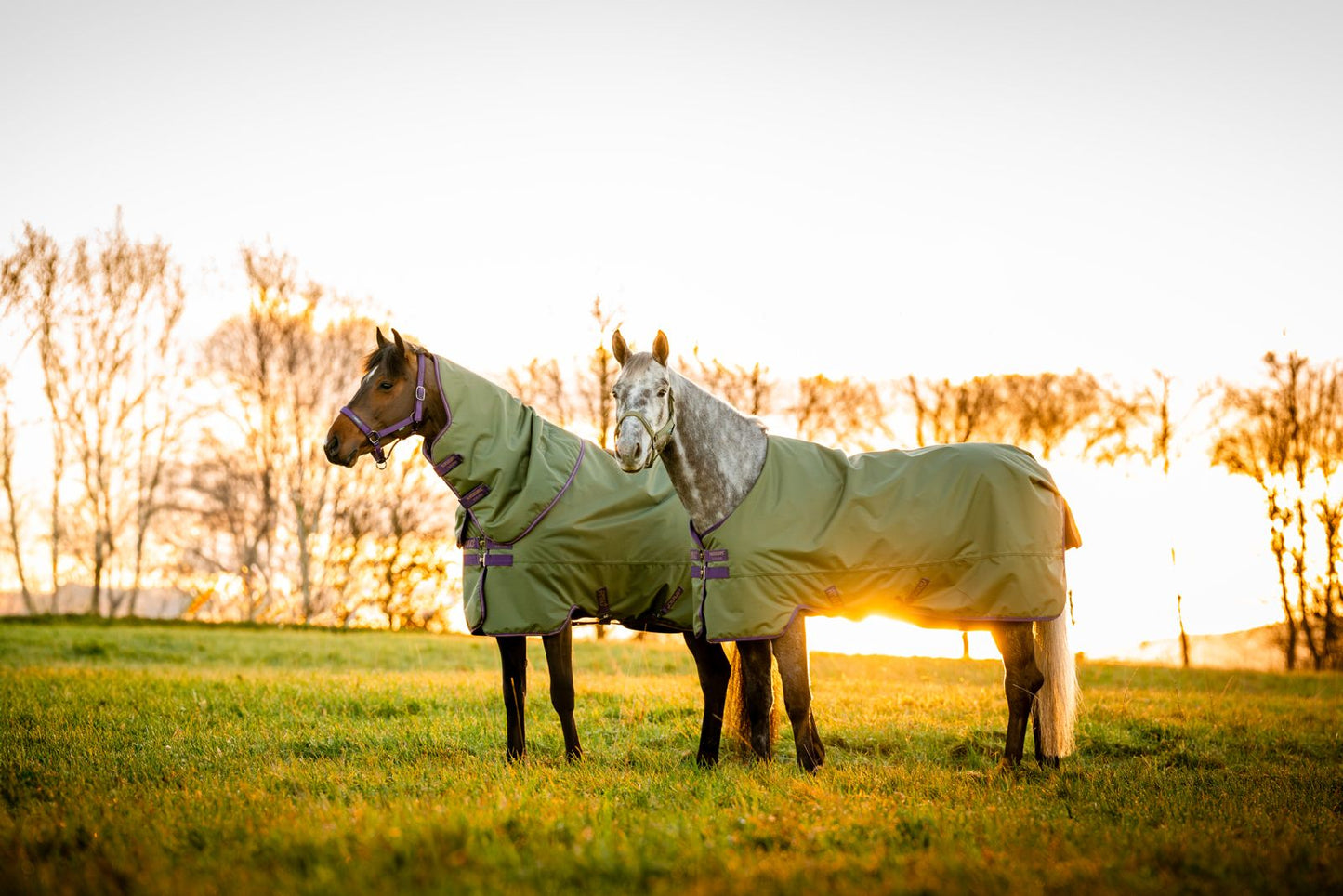 Amigo Hero Ripstop 50g Fleece Lining, 145cm (6'6"), 155cm (6'9"), Bramble/ Winterberry