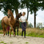 Luxiar's Hybrid Riding Breeches