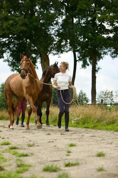 Luxiar's Hybrid Riding Breeches