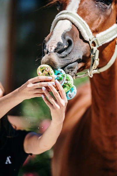 CANDY HORSE PRETZELS WITH ICING, JUNGLE COLLECTION