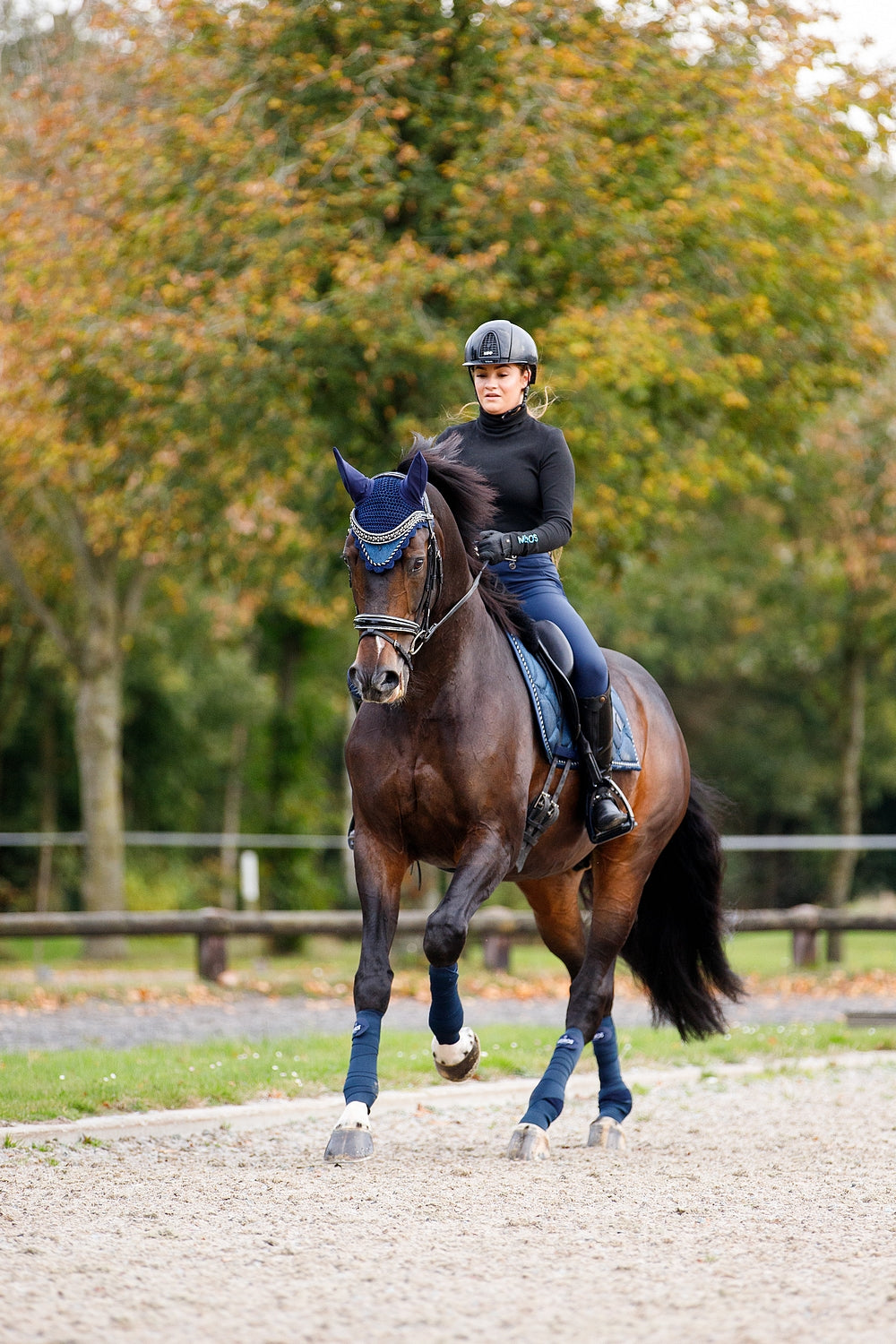 CHARMER DRESSAGE GLITTER SADDLE PAD - SAPPHIRE, FULL